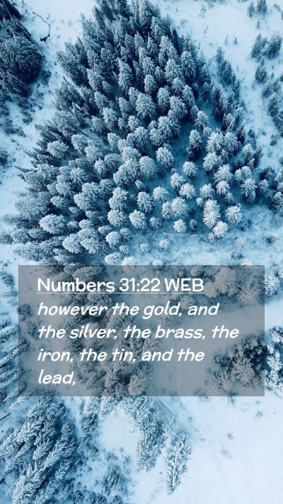 Picture 02 - Numbers 31:22 WEB Mobile Phone Wallpaper - however the gold, and the silver, the brass, the - Mobile Bible Verse Wallpaper