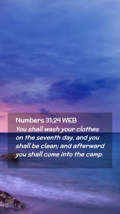 Picture 02 - Numbers 31:24 WEB Mobile Phone Wallpaper - You shall wash your clothes on the seventh day, - Mobile Bible Verse Wallpaper