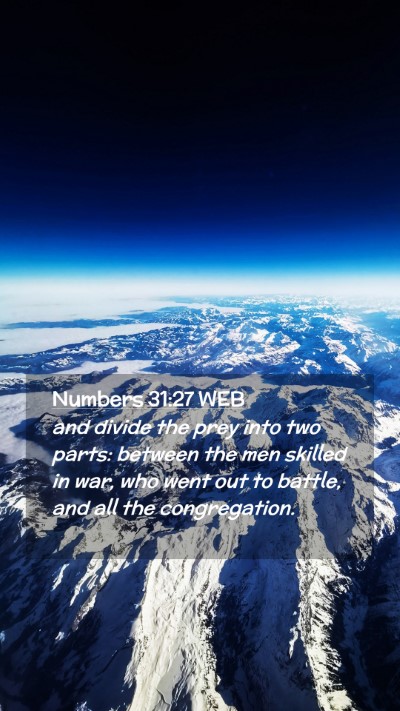 Picture 02 - Numbers 31:27 WEB Mobile Phone Wallpaper - and divide the prey into two parts: between the - Mobile Bible Verse Wallpaper
