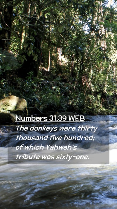 Picture 02 - Numbers 31:39 WEB Mobile Phone Wallpaper - The donkeys were thirty thousand five hundred; of - Mobile Bible Verse Wallpaper