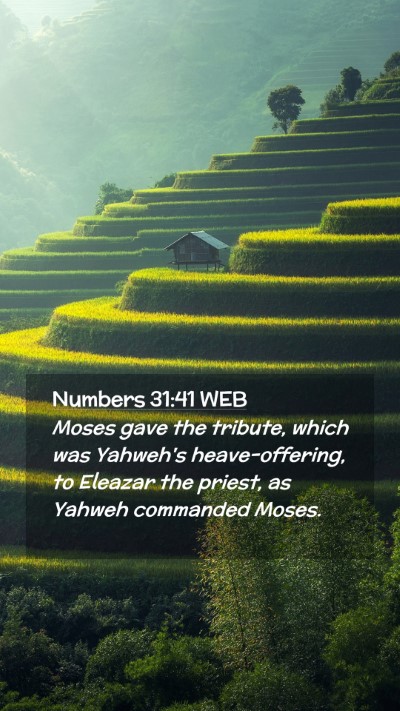 Picture 02 - Numbers 31:41 WEB Mobile Phone Wallpaper - Moses gave the tribute, which was Yahweh's - Mobile Bible Verse Wallpaper