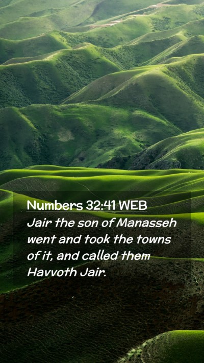 Picture 02 - Numbers 32:41 WEB Mobile Phone Wallpaper - Jair the son of Manasseh went and took the towns - Mobile Bible Verse Wallpaper