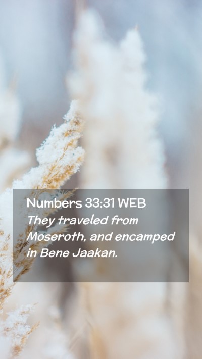 Picture 02 - Numbers 33:31 WEB Mobile Phone Wallpaper - They traveled from Moseroth, and encamped in Bene - Mobile Bible Verse Wallpaper