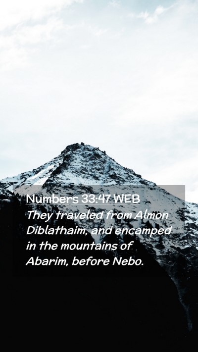 Picture 02 - Numbers 33:47 WEB Mobile Phone Wallpaper - They traveled from Almon Diblathaim, and encamped - Mobile Bible Verse Wallpaper