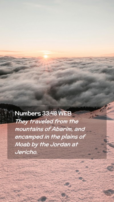 Picture 02 - Numbers 33:48 WEB Mobile Phone Wallpaper - They traveled from the mountains of Abarim, and - Mobile Bible Verse Wallpaper
