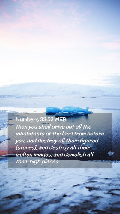 Picture 02 - Numbers 33:52 WEB Mobile Phone Wallpaper - then you shall drive out all the inhabitants of - Mobile Bible Verse Wallpaper