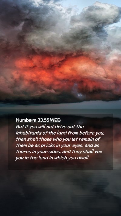 Picture 02 - Numbers 33:55 WEB Mobile Phone Wallpaper - But if you will not drive out the inhabitants of - Mobile Bible Verse Wallpaper
