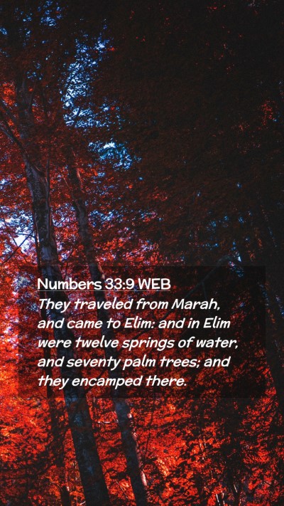 Picture 02 - Numbers 33:9 WEB Mobile Phone Wallpaper - They traveled from Marah, and came to Elim: and - Mobile Bible Verse Wallpaper