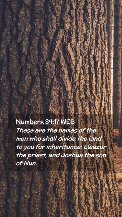 Picture 02 - Numbers 34:17 WEB Mobile Phone Wallpaper - These are the names of the men who shall divide - Mobile Bible Verse Wallpaper