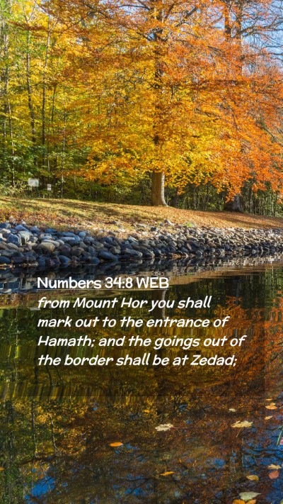 Picture 02 - Numbers 34:8 WEB Mobile Phone Wallpaper - from Mount Hor you shall mark out to the entrance - Mobile Bible Verse Wallpaper