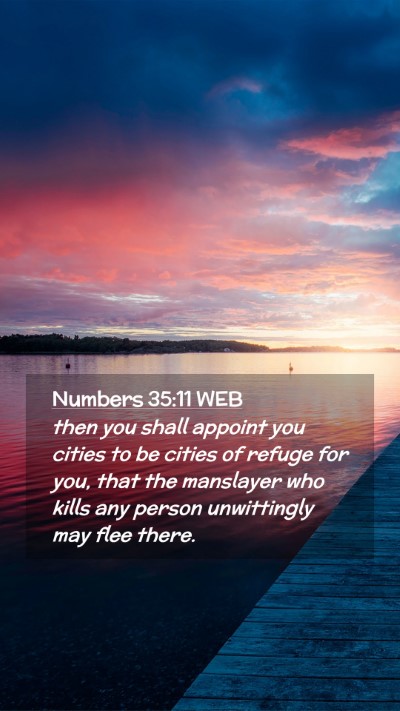 Picture 02 - Numbers 35:11 WEB Mobile Phone Wallpaper - then you shall appoint you cities to be cities of - Mobile Bible Verse Wallpaper