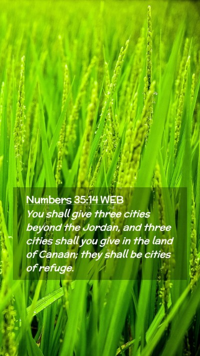 Picture 02 - Numbers 35:14 WEB Mobile Phone Wallpaper - You shall give three cities beyond the Jordan, - Mobile Bible Verse Wallpaper