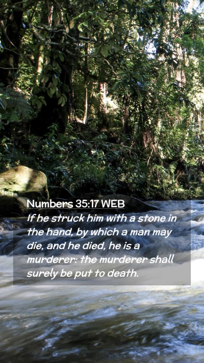 Picture 02 - Numbers 35:17 WEB Mobile Phone Wallpaper - If he struck him with a stone in the hand, by - Mobile Bible Verse Wallpaper