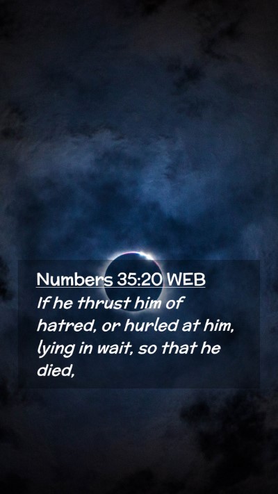 Picture 02 - Numbers 35:20 WEB Mobile Phone Wallpaper - If he thrust him of hatred, or hurled at him, - Mobile Bible Verse Wallpaper
