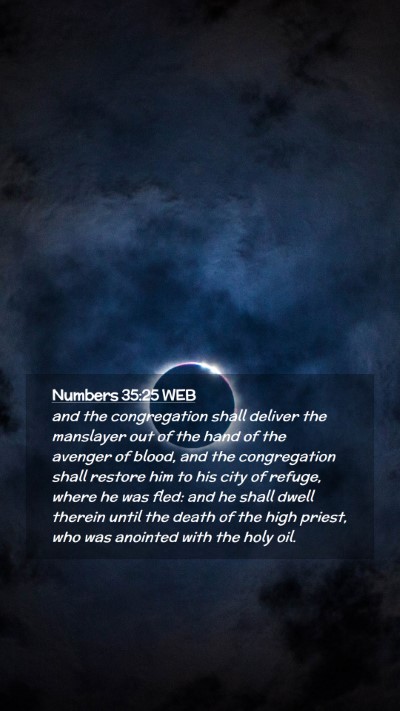 Picture 02 - Numbers 35:25 WEB Mobile Phone Wallpaper - and the congregation shall deliver the manslayer - Mobile Bible Verse Wallpaper