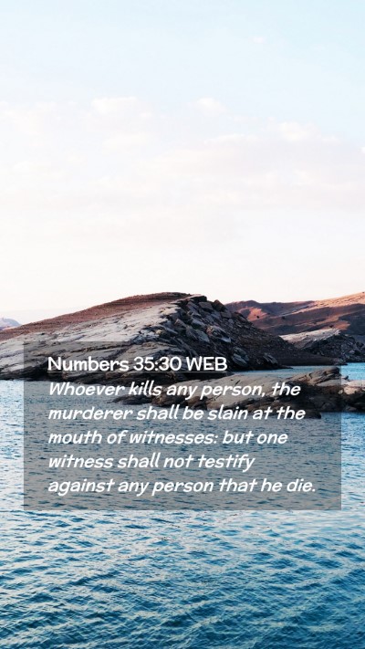 Picture 02 - Numbers 35:30 WEB Mobile Phone Wallpaper - Whoever kills any person, the murderer shall be - Mobile Bible Verse Wallpaper