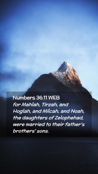 Picture 02 - Numbers 36:11 WEB Mobile Phone Wallpaper - for Mahlah, Tirzah, and Hoglah, and Milcah, and - Mobile Bible Verse Wallpaper