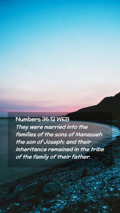 Picture 02 - Numbers 36:12 WEB Mobile Phone Wallpaper - They were married into the families of the sons - Mobile Bible Verse Wallpaper