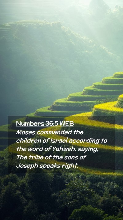 Picture 02 - Numbers 36:5 WEB Mobile Phone Wallpaper - Moses commanded the children of Israel according - Mobile Bible Verse Wallpaper