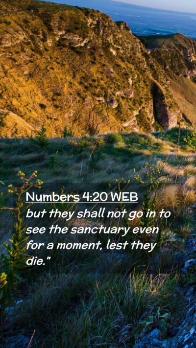 Picture 02 - Numbers 4:20 WEB Mobile Phone Wallpaper - but they shall not go in to see the sanctuary - Mobile Bible Verse Wallpaper