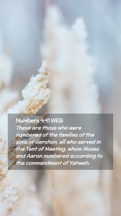 Picture 02 - Numbers 4:41 WEB Mobile Phone Wallpaper - These are those who were numbered of the families - Mobile Bible Verse Wallpaper