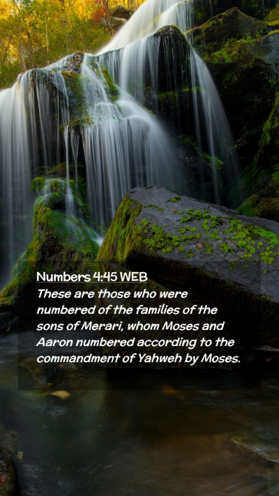 Picture 02 - Numbers 4:45 WEB Mobile Phone Wallpaper - These are those who were numbered of the families - Mobile Bible Verse Wallpaper
