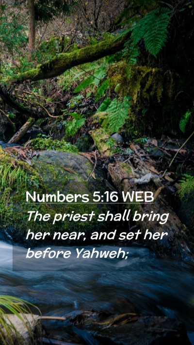 Picture 02 - Numbers 5:16 WEB Mobile Phone Wallpaper - The priest shall bring her near, and set her - Mobile Bible Verse Wallpaper