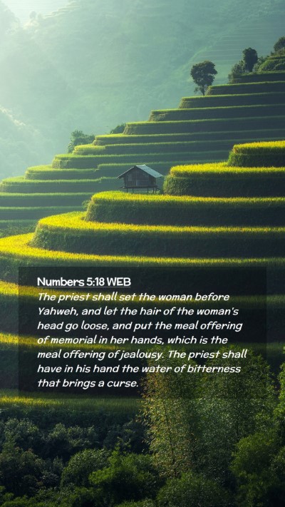 Picture 02 - Numbers 5:18 WEB Mobile Phone Wallpaper - The priest shall set the woman before Yahweh, and - Mobile Bible Verse Wallpaper