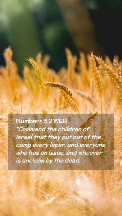 Picture 02 - Numbers 5:2 WEB Mobile Phone Wallpaper - 