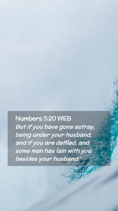 Picture 02 - Numbers 5:20 WEB Mobile Phone Wallpaper - But if you have gone astray, being under your - Mobile Bible Verse Wallpaper