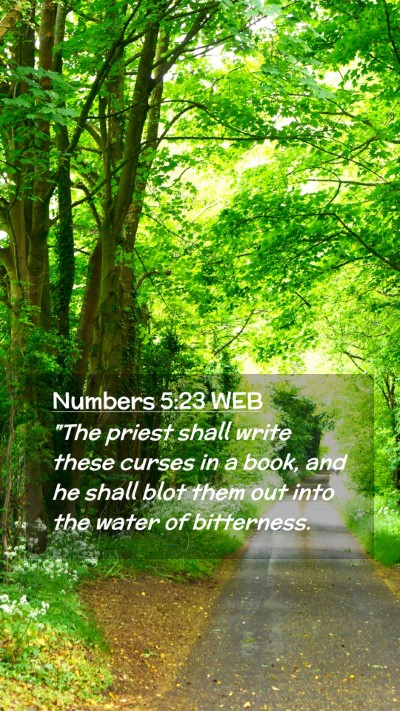 Picture 02 - Numbers 5:23 WEB Mobile Phone Wallpaper - 