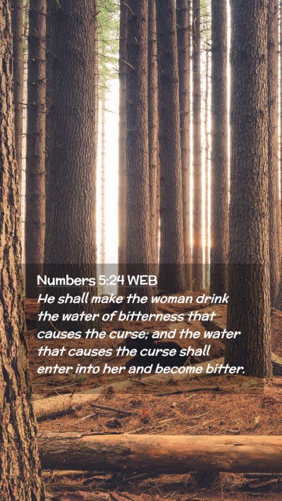 Picture 02 - Numbers 5:24 WEB Mobile Phone Wallpaper - He shall make the woman drink the water of - Mobile Bible Verse Wallpaper