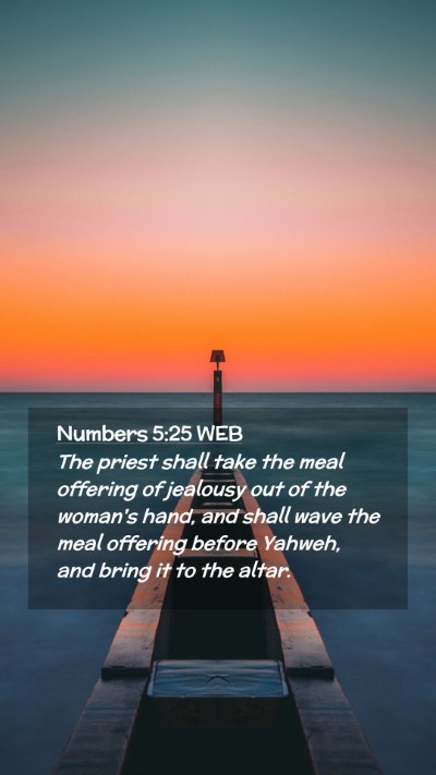 Picture 02 - Numbers 5:25 WEB Mobile Phone Wallpaper - The priest shall take the meal offering of - Mobile Bible Verse Wallpaper