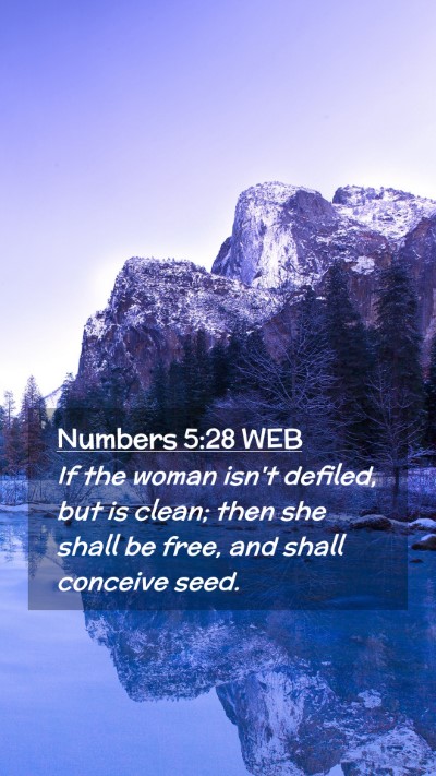 Picture 02 - Numbers 5:28 WEB Mobile Phone Wallpaper - If the woman isn't defiled, but is clean; then - Mobile Bible Verse Wallpaper