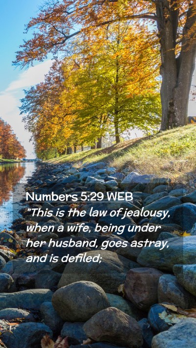 Picture 02 - Numbers 5:29 WEB Mobile Phone Wallpaper - 