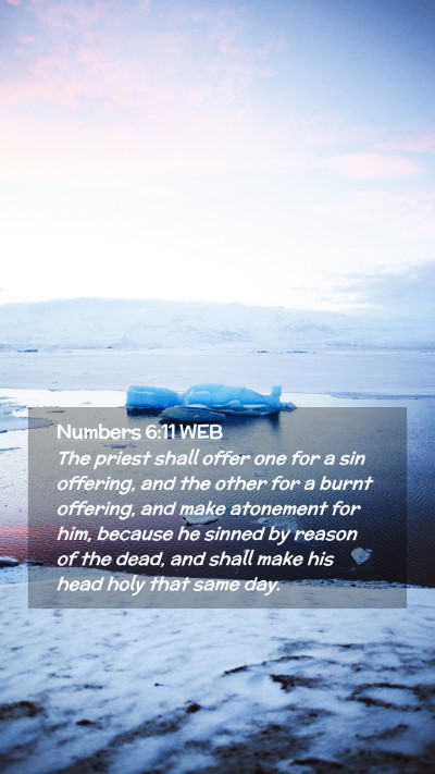 Picture 02 - Numbers 6:11 WEB Mobile Phone Wallpaper - The priest shall offer one for a sin offering, - Mobile Bible Verse Wallpaper