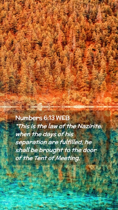 Picture 02 - Numbers 6:13 WEB Mobile Phone Wallpaper - 