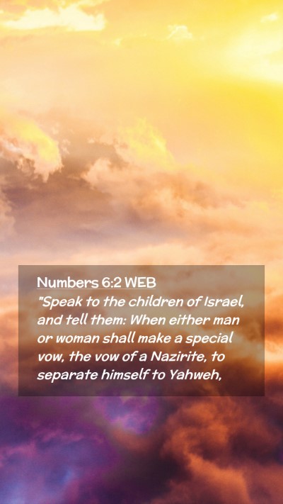 Picture 02 - Numbers 6:2 WEB Mobile Phone Wallpaper - 