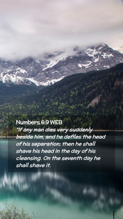 Picture 02 - Numbers 6:9 WEB Mobile Phone Wallpaper - 