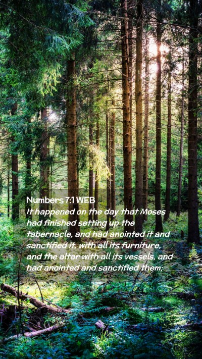 Picture 02 - Numbers 7:1 WEB Mobile Phone Wallpaper - It happened on the day that Moses had finished - Mobile Bible Verse Wallpaper