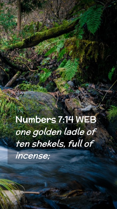 Picture 02 - Numbers 7:14 WEB Mobile Phone Wallpaper - one golden ladle of ten shekels, full of - Mobile Bible Verse Wallpaper