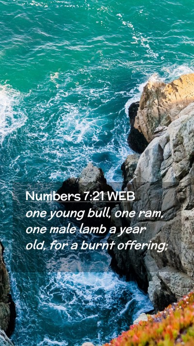 Picture 02 - Numbers 7:21 WEB Mobile Phone Wallpaper - one young bull, one ram, one male lamb a year - Mobile Bible Verse Wallpaper