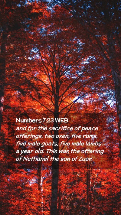 Picture 02 - Numbers 7:23 WEB Mobile Phone Wallpaper - and for the sacrifice of peace offerings, two - Mobile Bible Verse Wallpaper