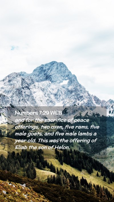 Picture 02 - Numbers 7:29 WEB Mobile Phone Wallpaper - and for the sacrifice of peace offerings, two - Mobile Bible Verse Wallpaper