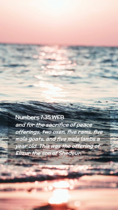 Picture 02 - Numbers 7:35 WEB Mobile Phone Wallpaper - and for the sacrifice of peace offerings, two - Mobile Bible Verse Wallpaper