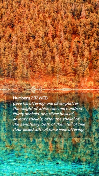 Picture 02 - Numbers 7:37 WEB Mobile Phone Wallpaper - gave his offering: one silver platter, the weight - Mobile Bible Verse Wallpaper