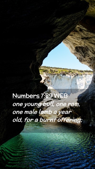 Picture 02 - Numbers 7:39 WEB Mobile Phone Wallpaper - one young bull, one ram, one male lamb a year - Mobile Bible Verse Wallpaper