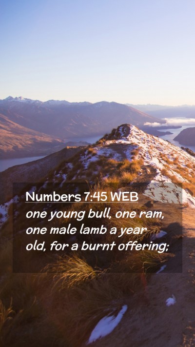 Picture 02 - Numbers 7:45 WEB Mobile Phone Wallpaper - one young bull, one ram, one male lamb a year - Mobile Bible Verse Wallpaper