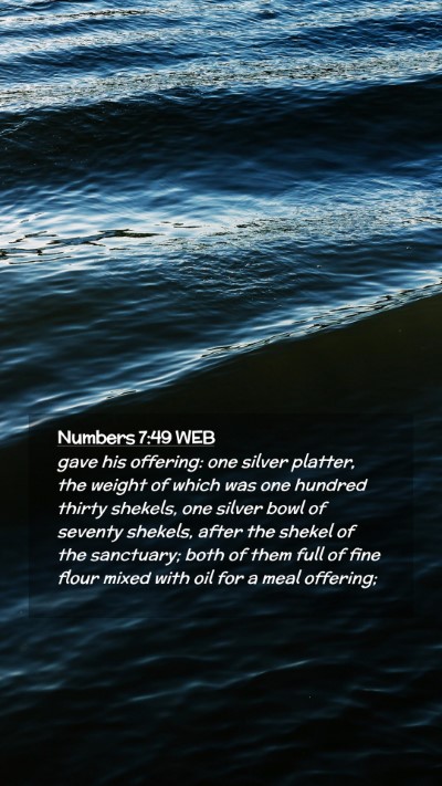 Picture 02 - Numbers 7:49 WEB Mobile Phone Wallpaper - gave his offering: one silver platter, the weight - Mobile Bible Verse Wallpaper
