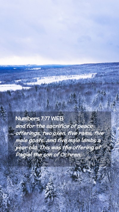 Picture 02 - Numbers 7:77 WEB Mobile Phone Wallpaper - and for the sacrifice of peace offerings, two - Mobile Bible Verse Wallpaper